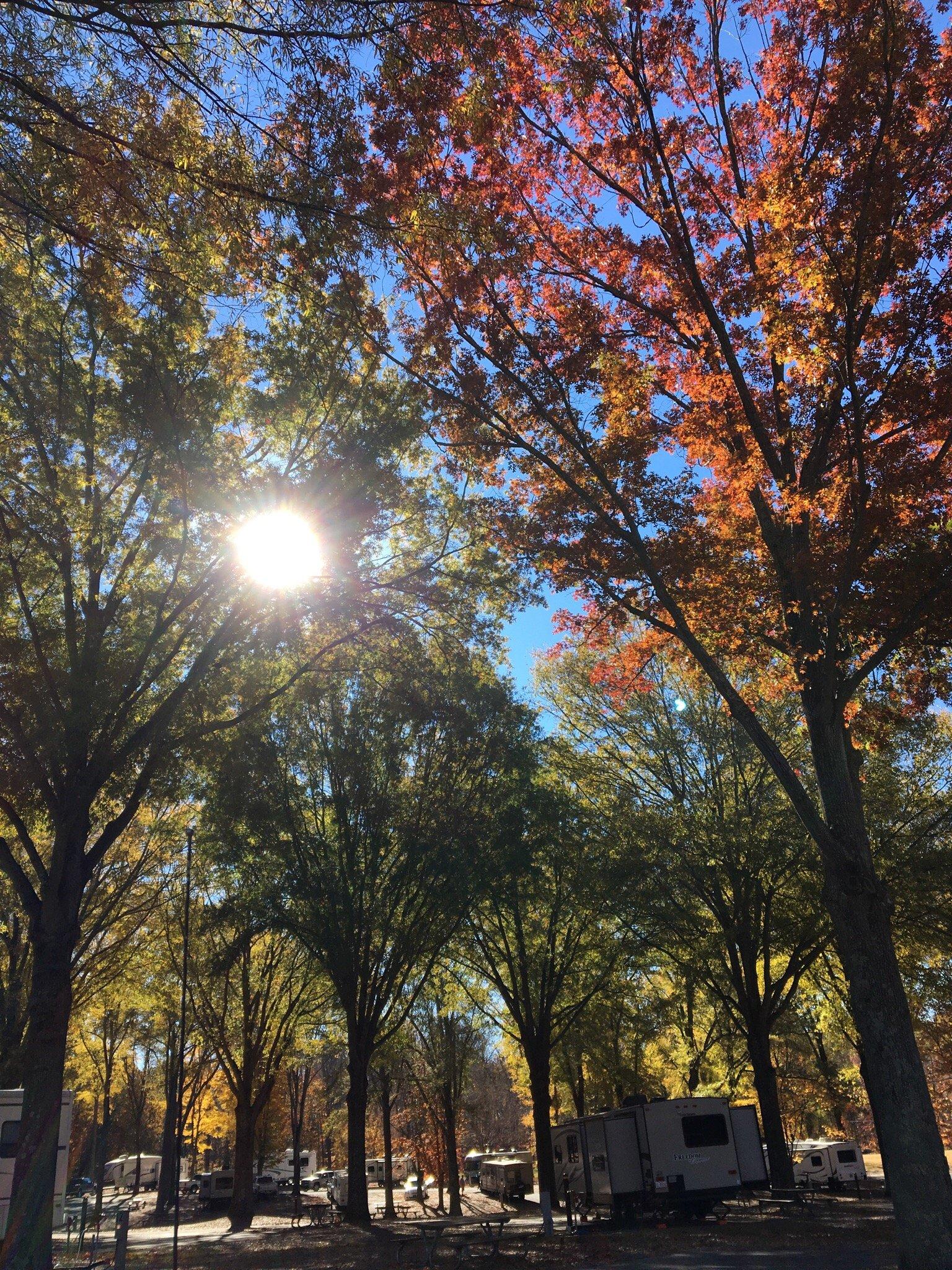 Tanglewood RV Campground