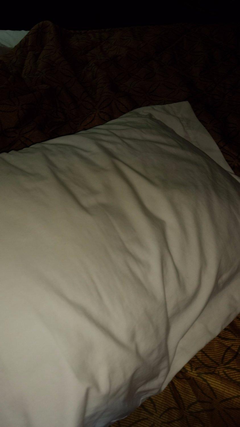 Extended Stay America Suites - Philadelphia - Plymouth Meeting - East