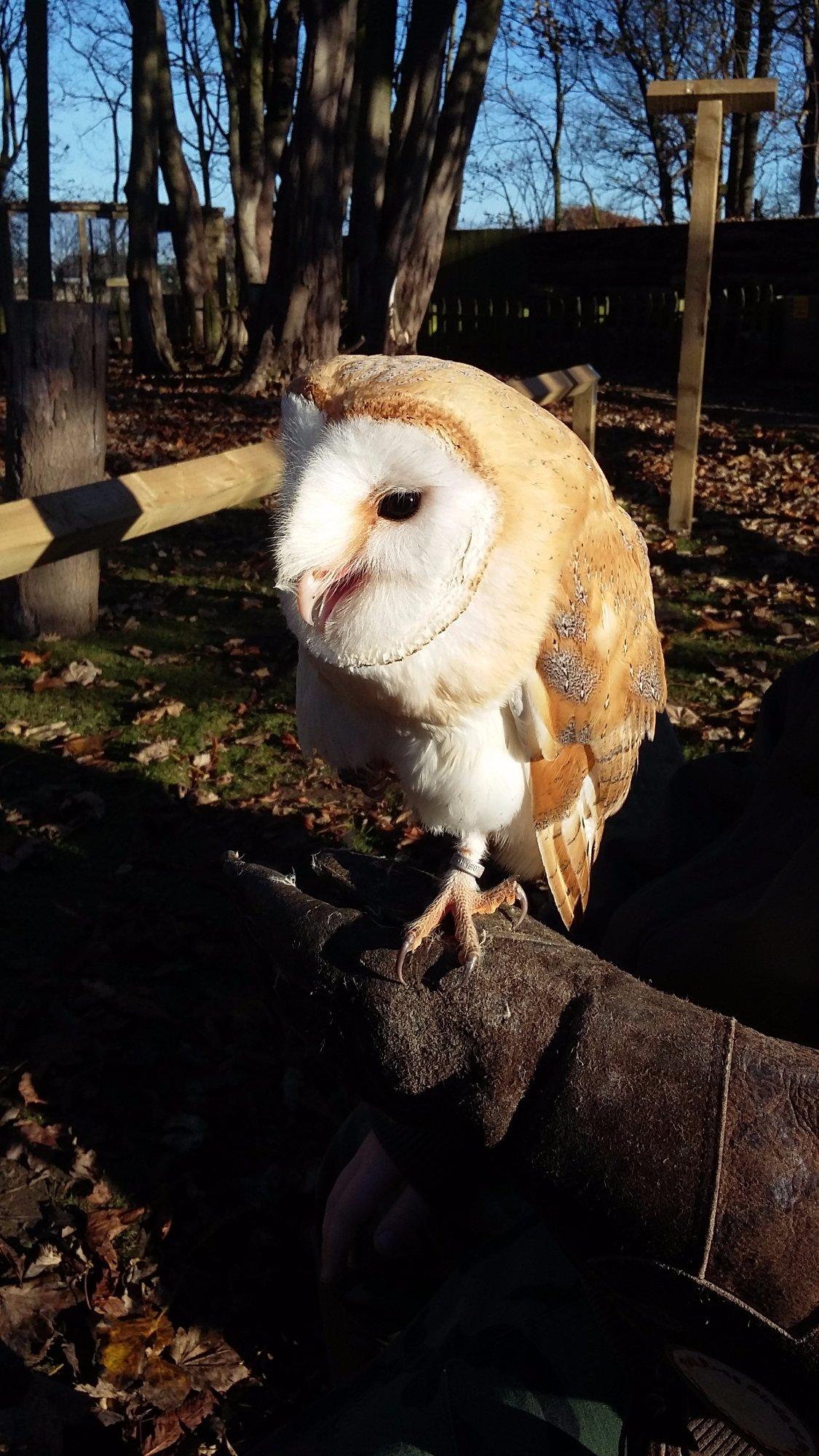 Bridlington Animal Park