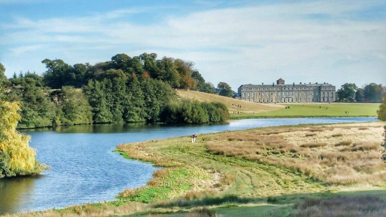 Petworth House and Park
