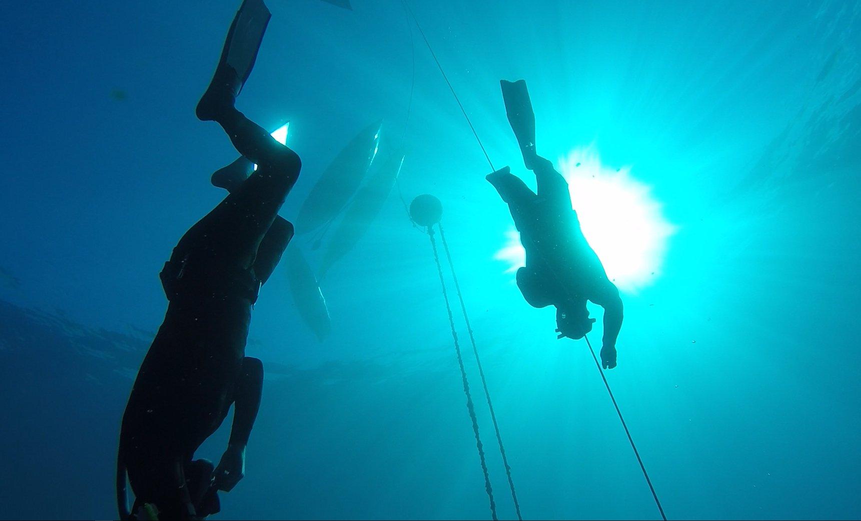 Composure Freediving