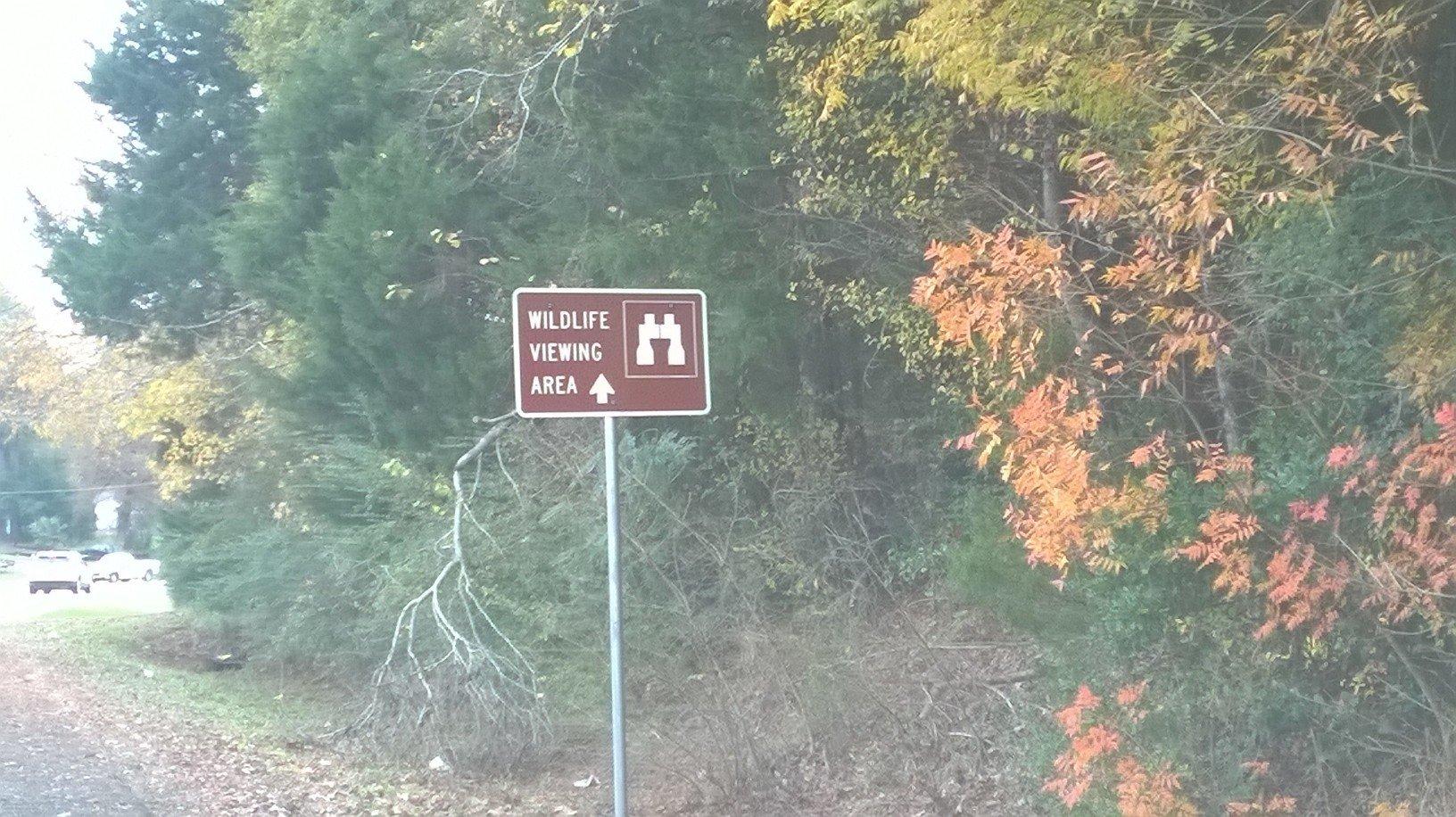 Photo by CATXWASteveG