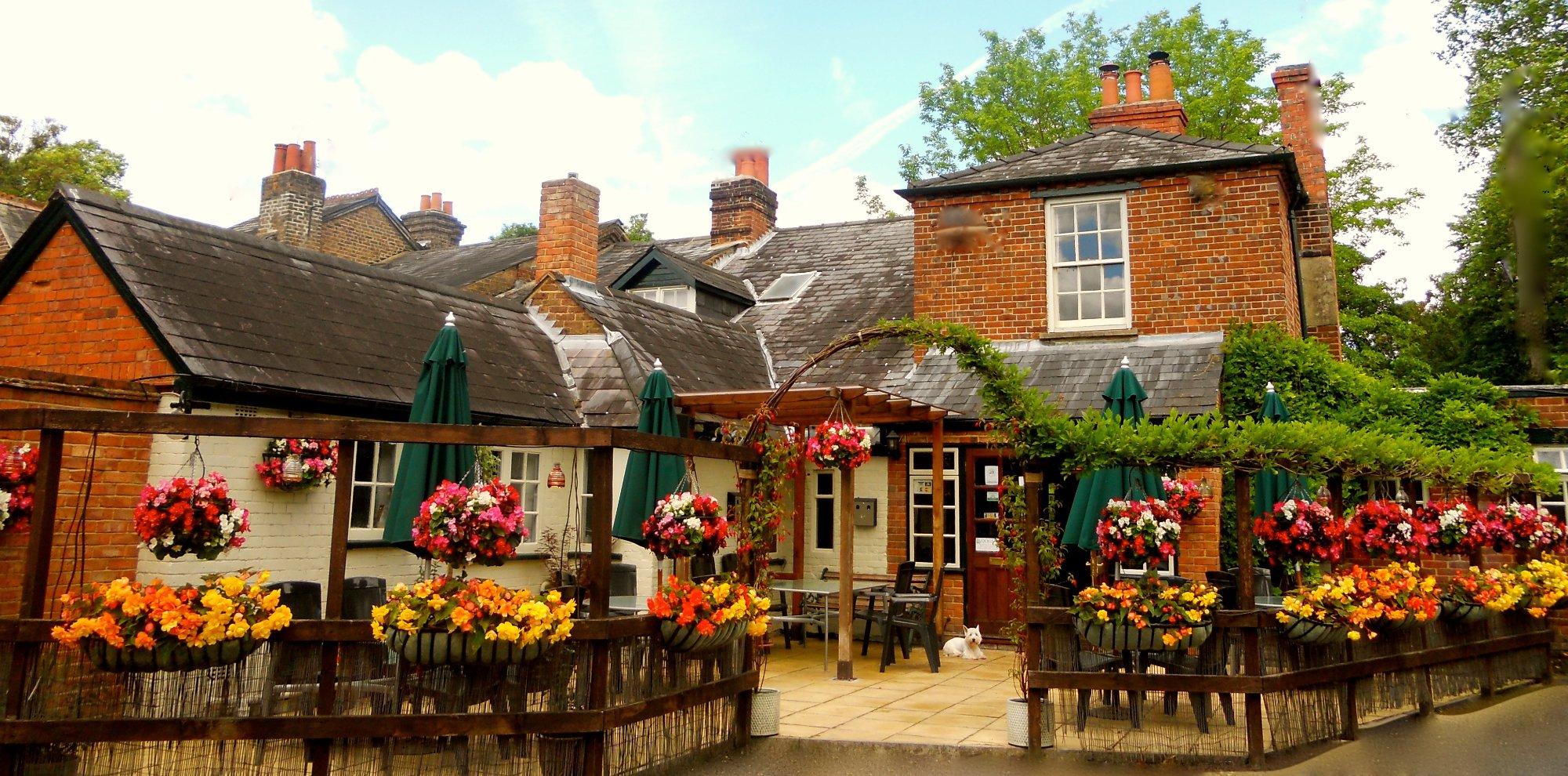 Oak And Saw Village Inn