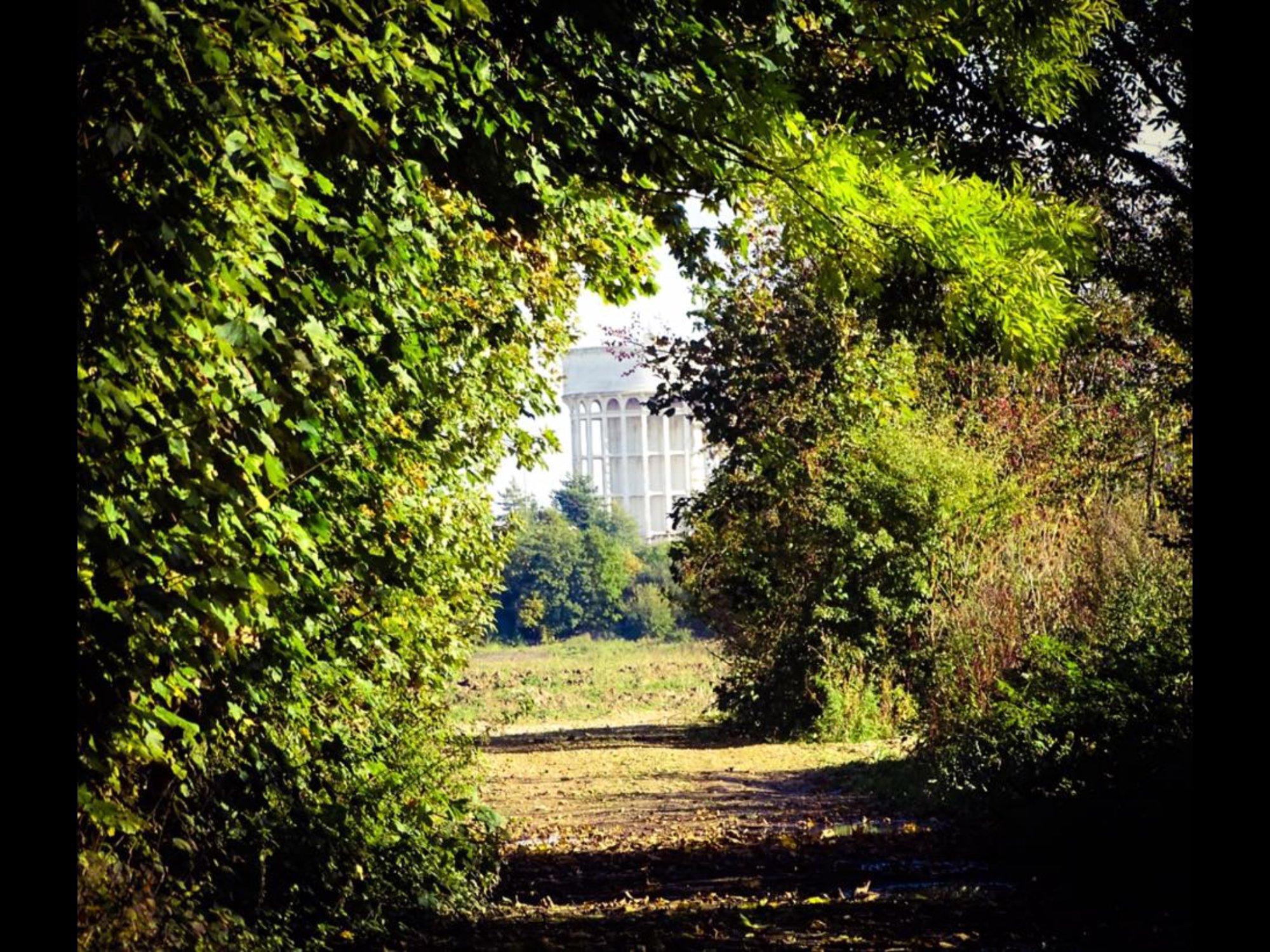 Oakhill Nature Reserve