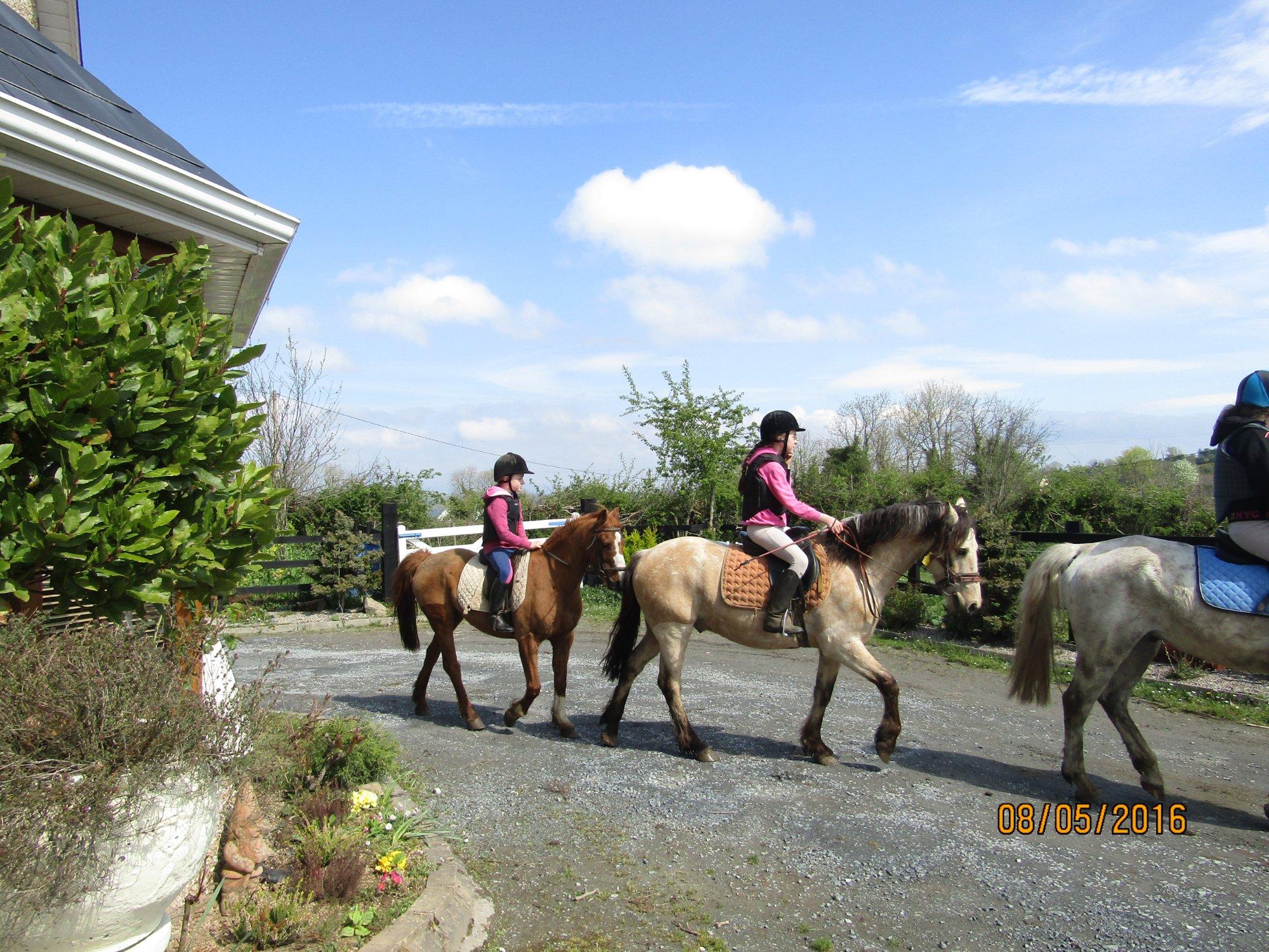Boskill equestrian/Trekking Homestay