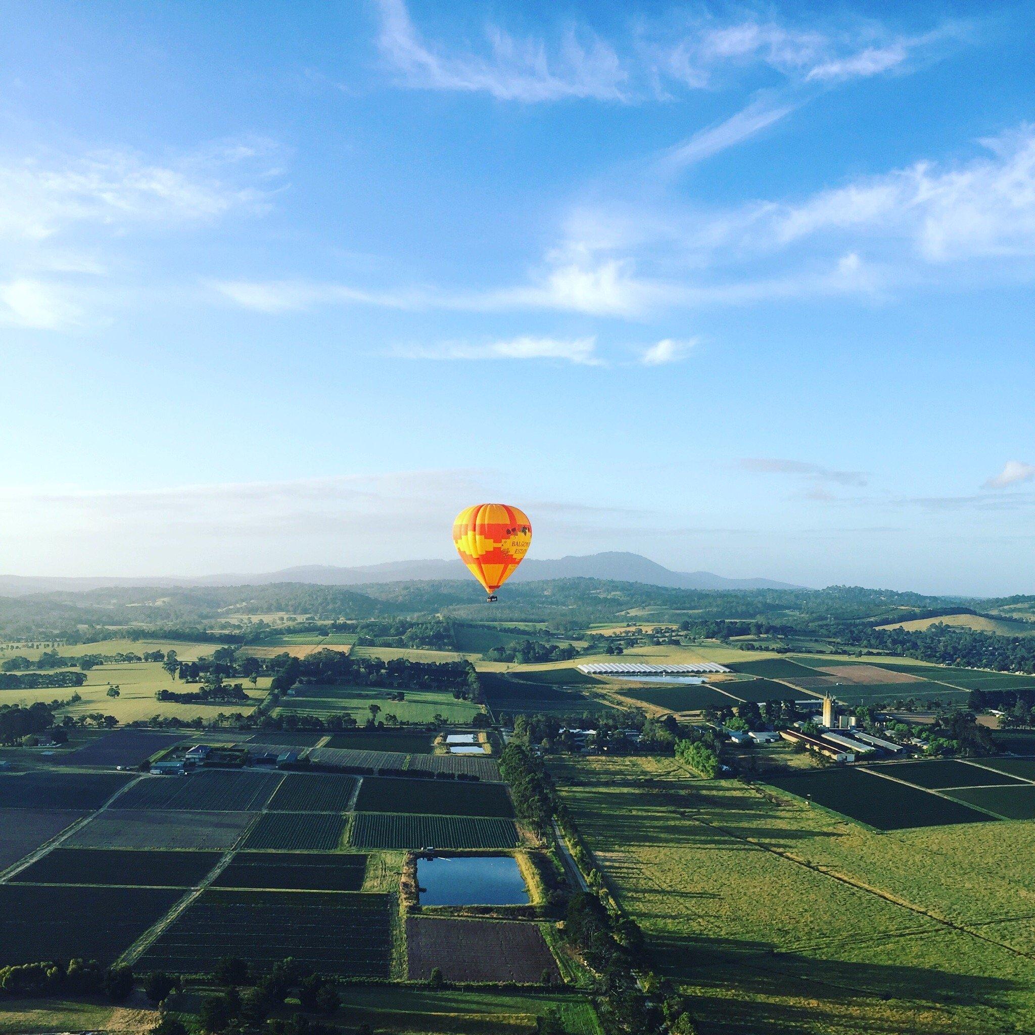 Go Wild Ballooning