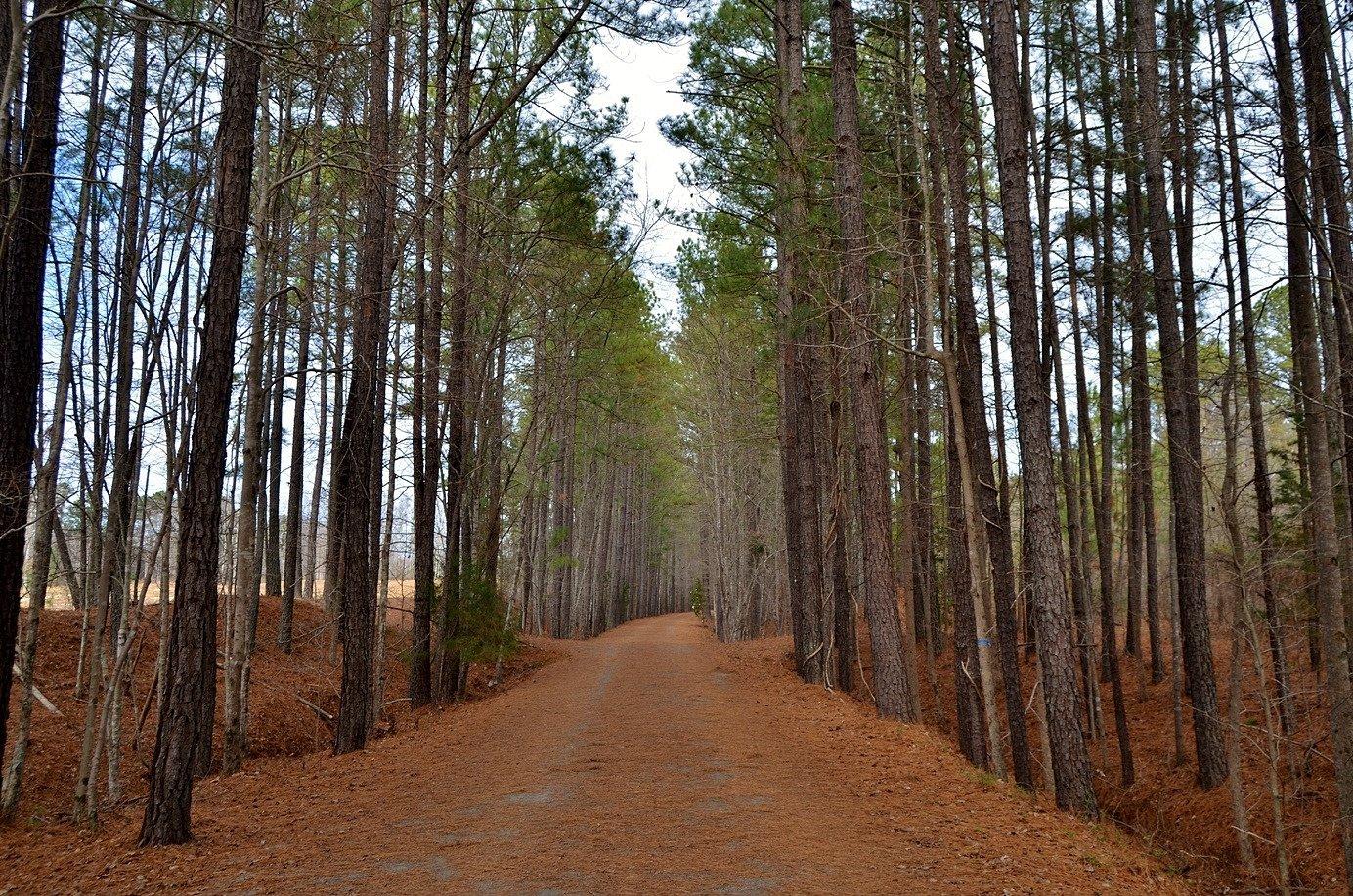 American Tobacco Trail