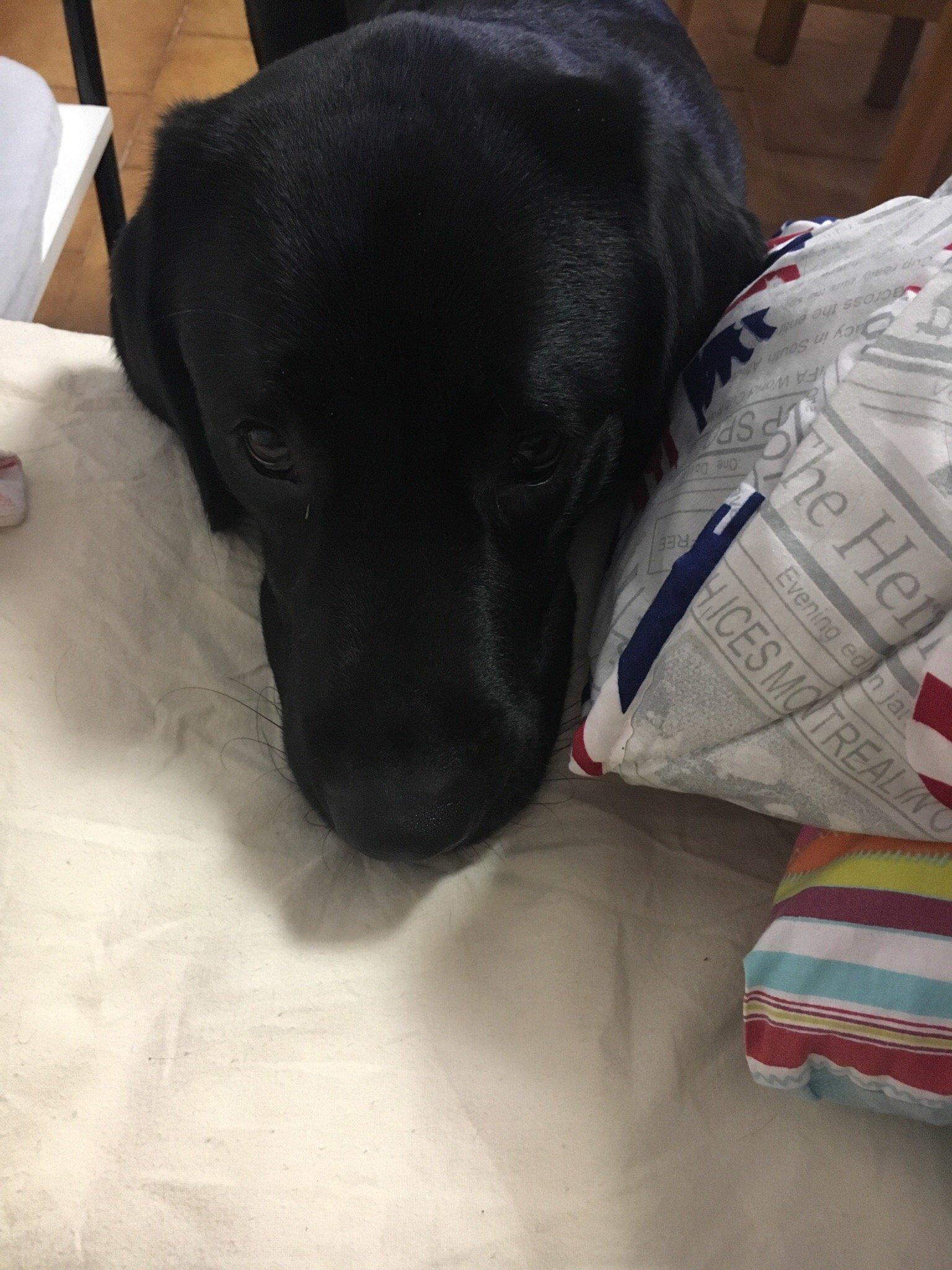 Centro Benessere Iside