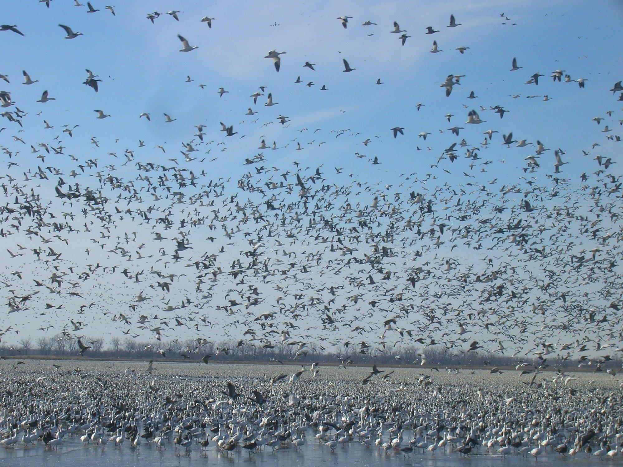 Photo by davidwU4879VR