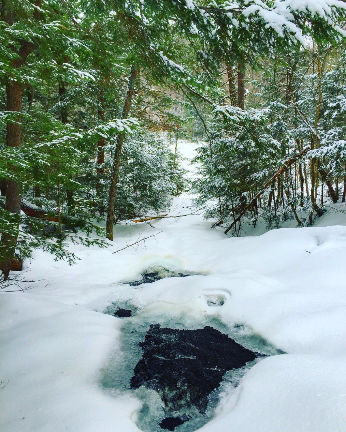 Western Uplands Backpacking Trail