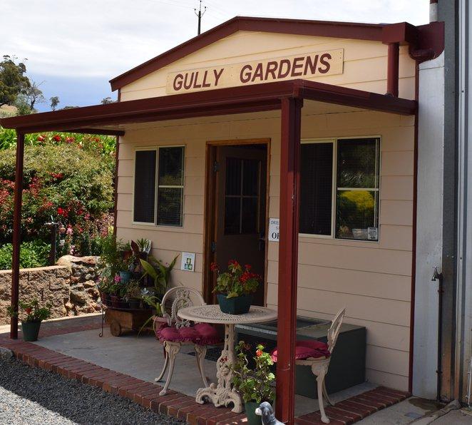 Gully Gardens