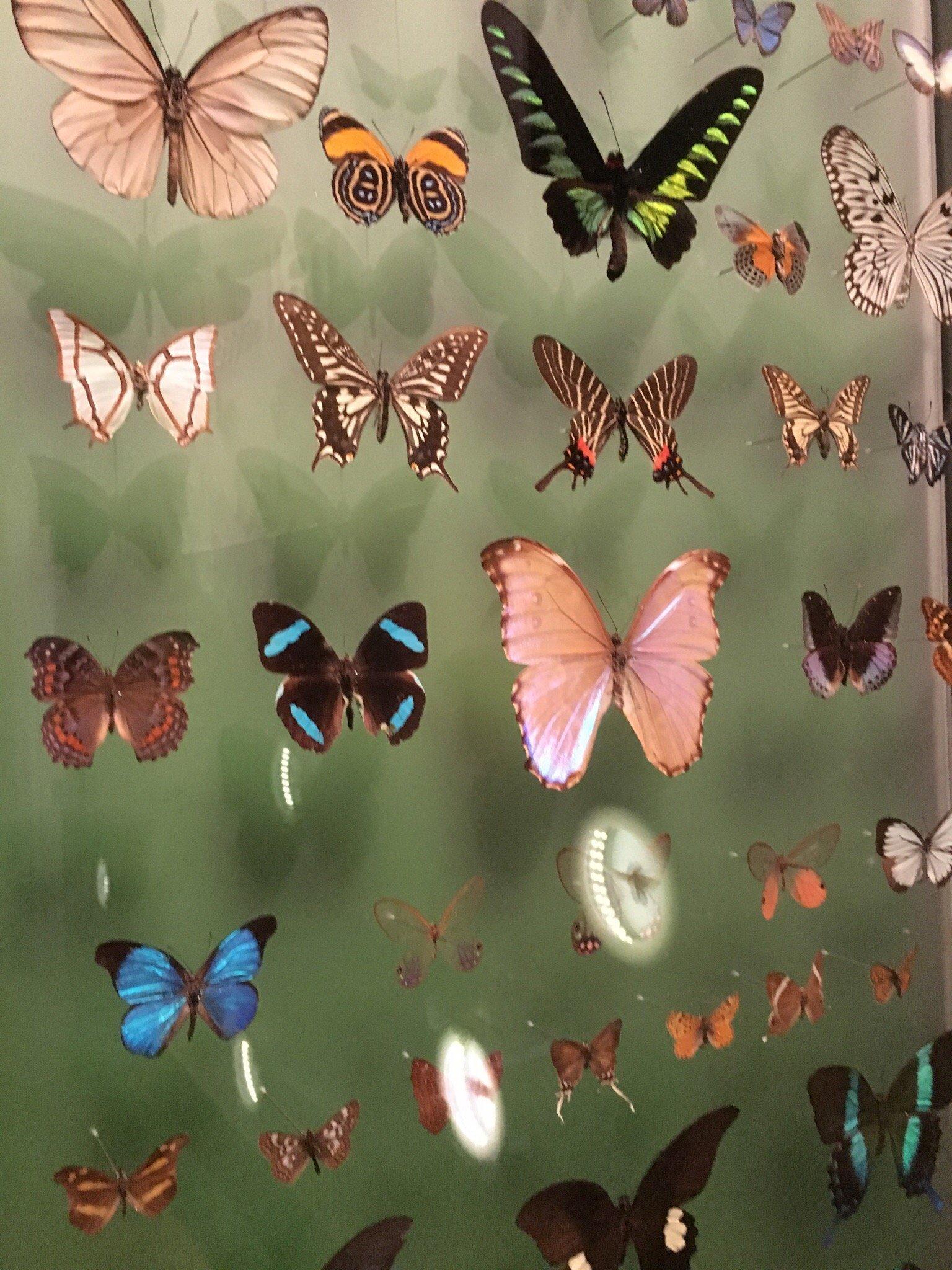 Photo by TravellerEdinburgh