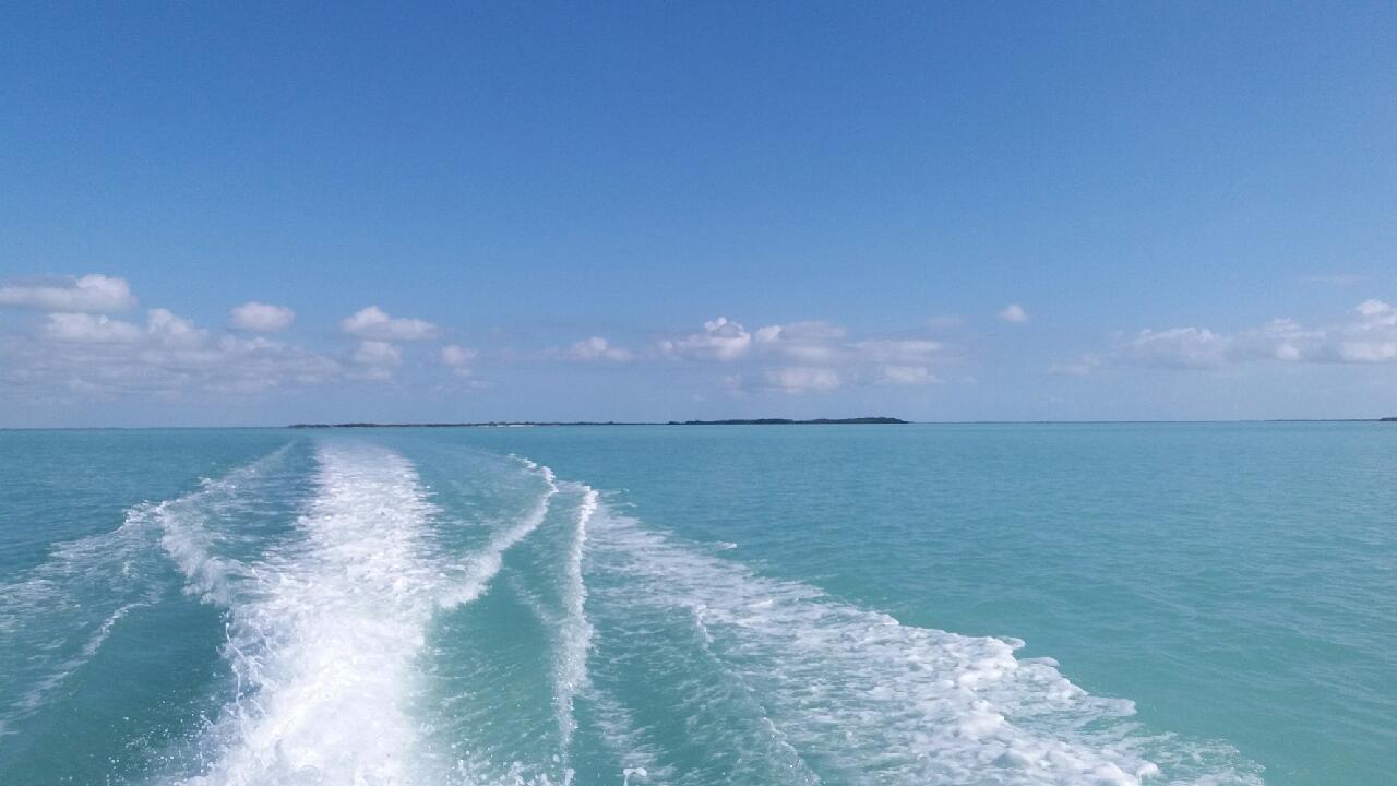 Sand Dollar Boat Rentals