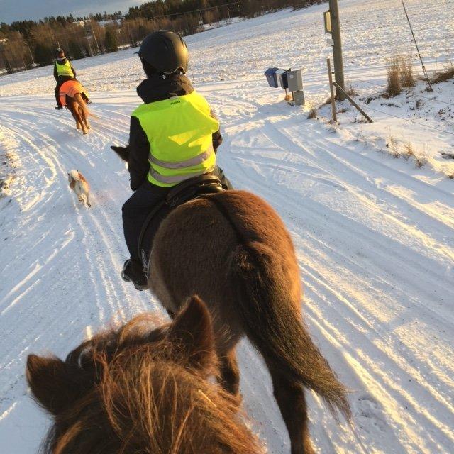 Sörbygården Logi & Hästgård