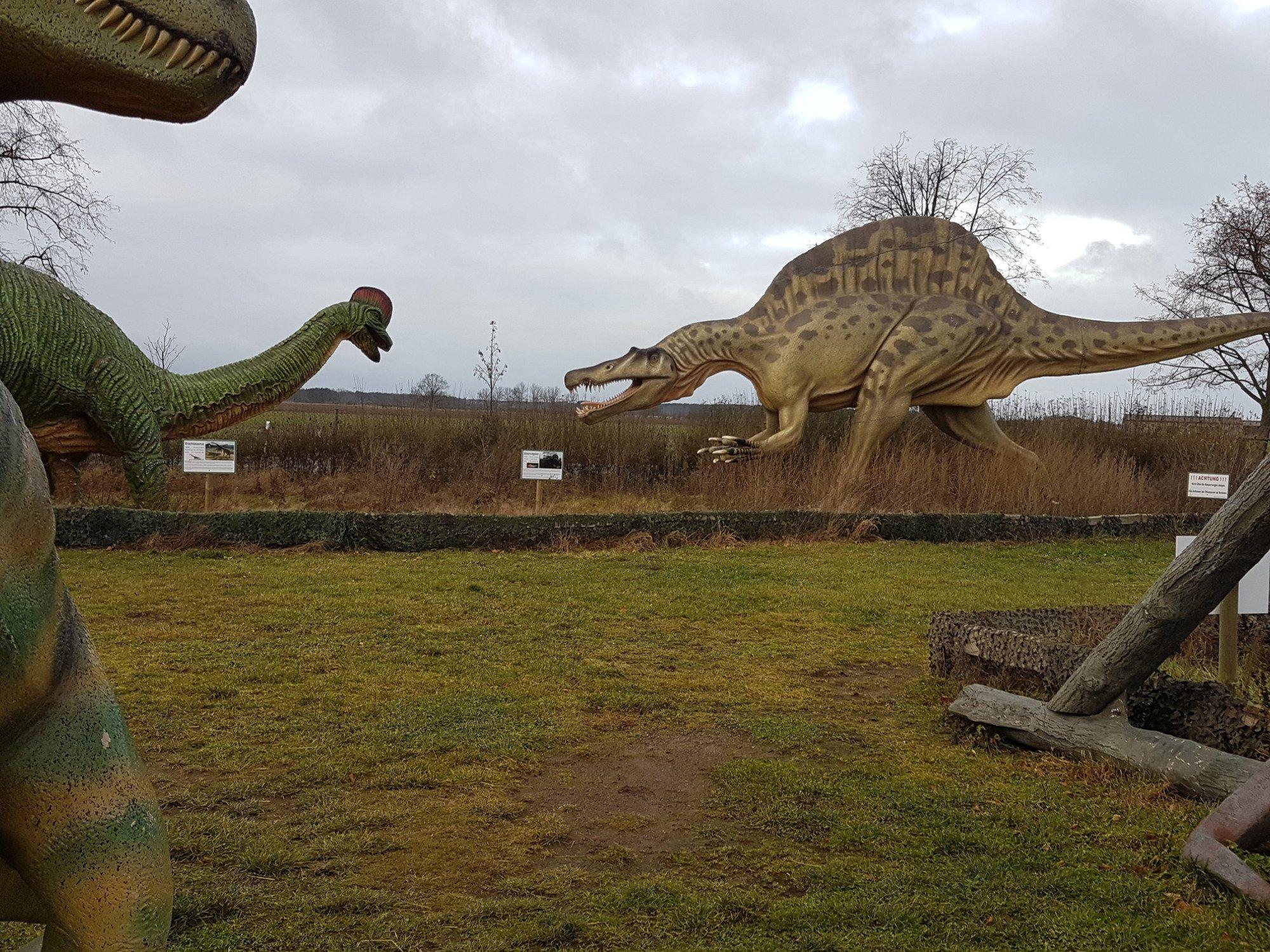 Welt der Reptilien / Word of reptiles