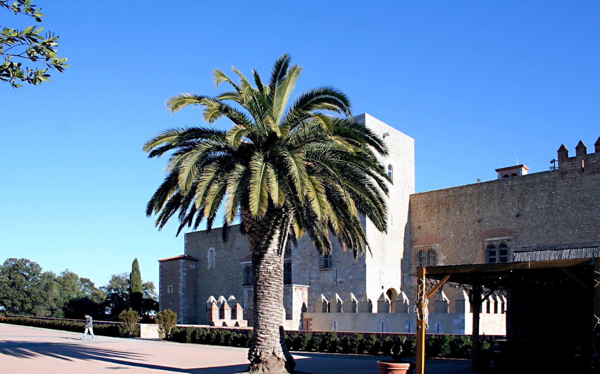 Palais des Rois de Majorque (Palace of the Kings of Majorca)