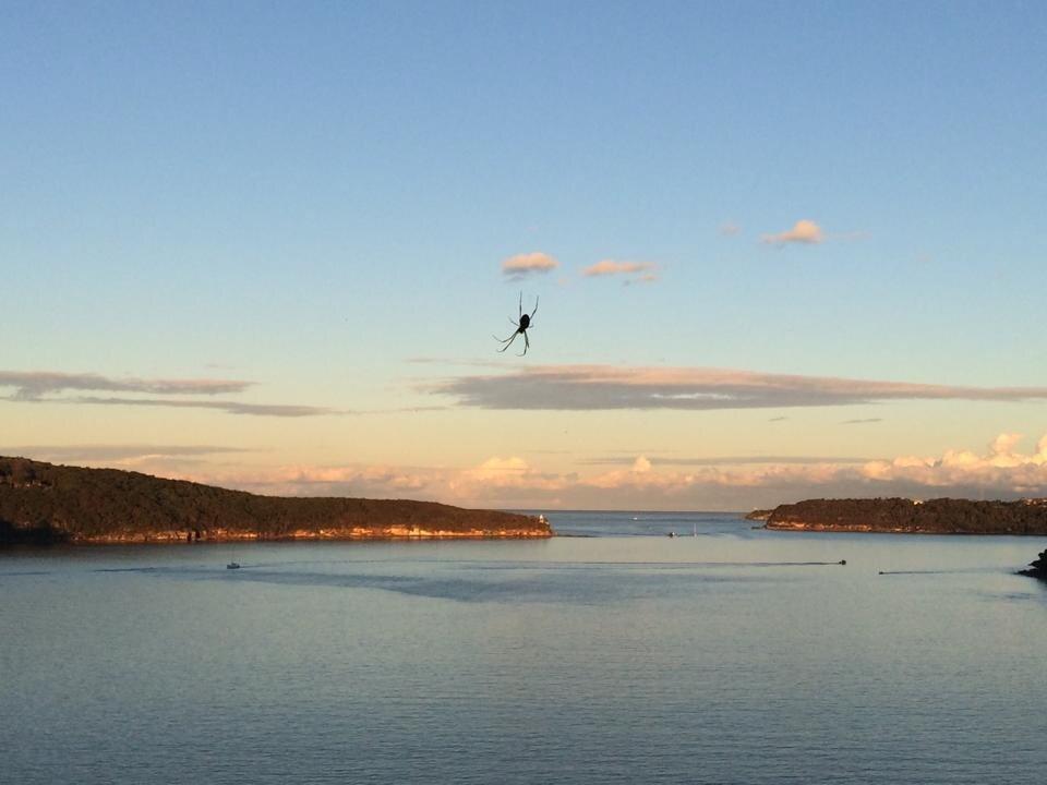 Zest Waterfront Venues