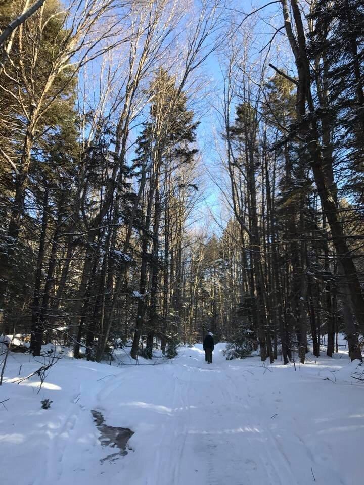 Misty Mountain Lodge