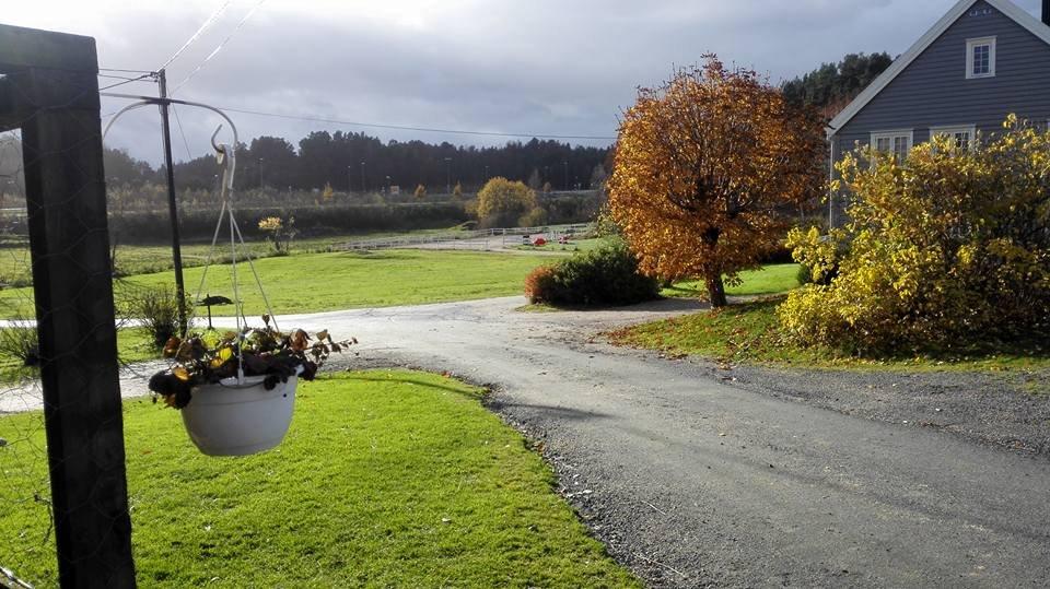 Kjerlingland Hest- og Aktivitetsgard AS