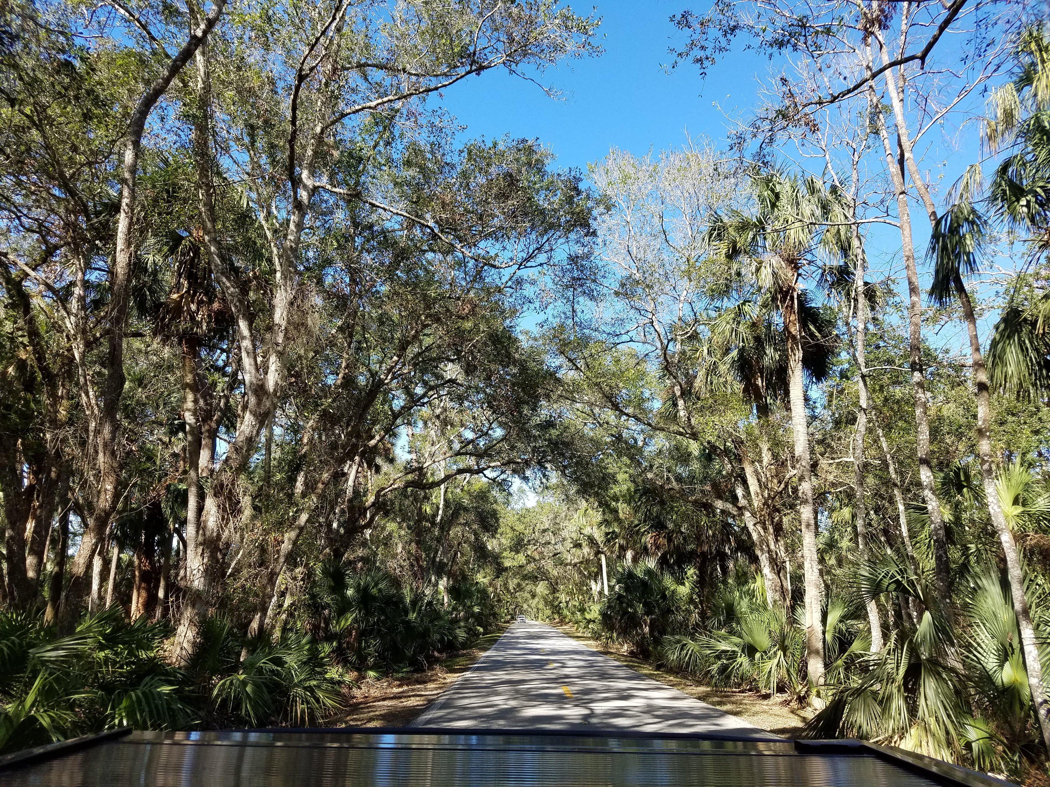 Ormond Scenic Loop & Trail