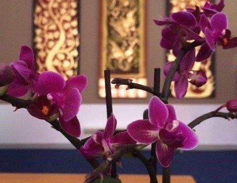 One Eleven - Thai Massage