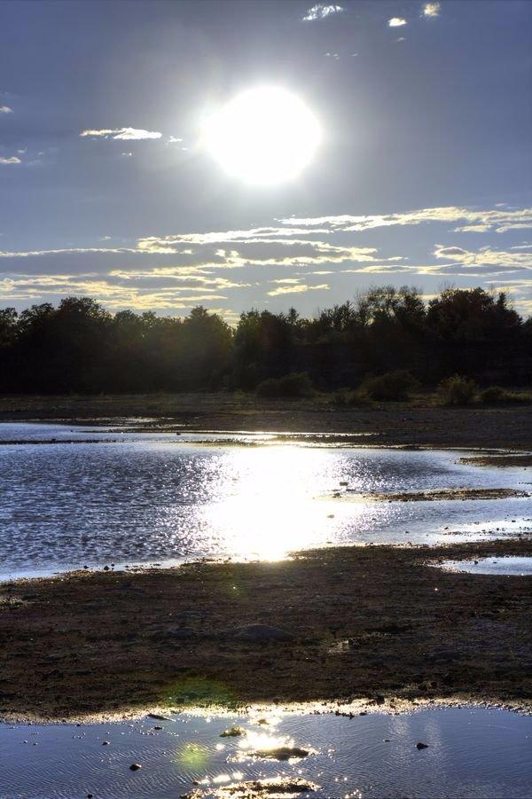Wainfleet Wetlands Conservation Area