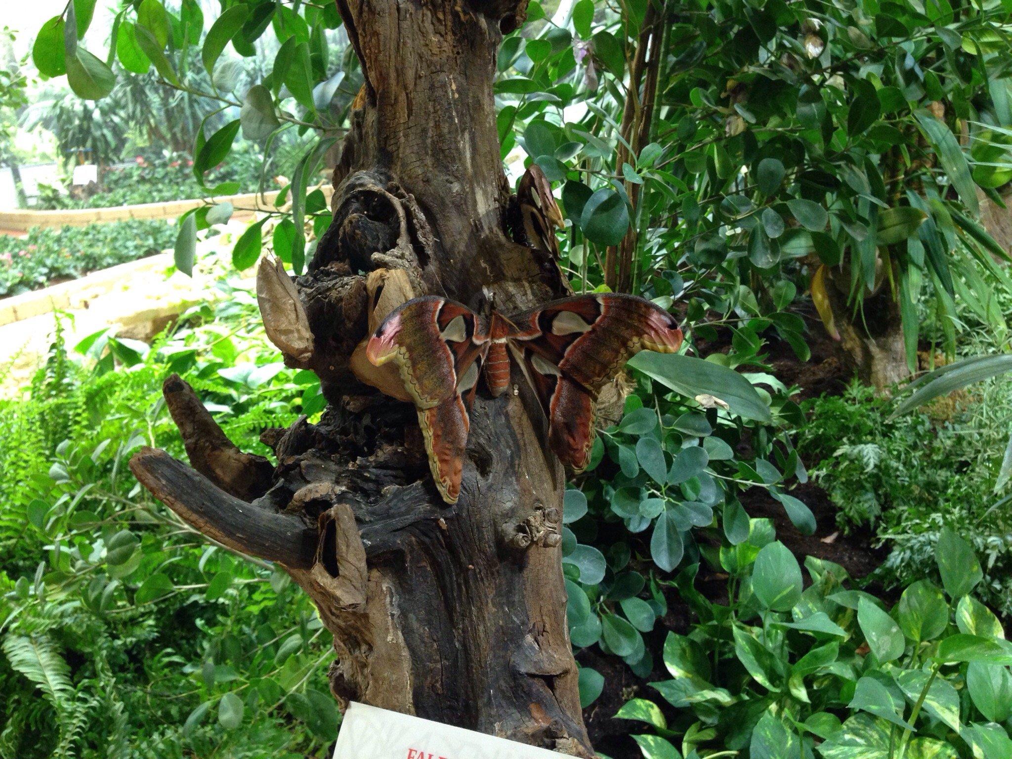 Naturama Science Center