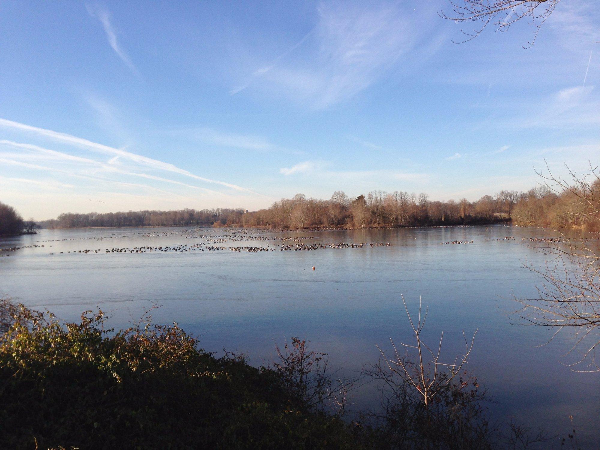 Photo by AsItSeemsToMe