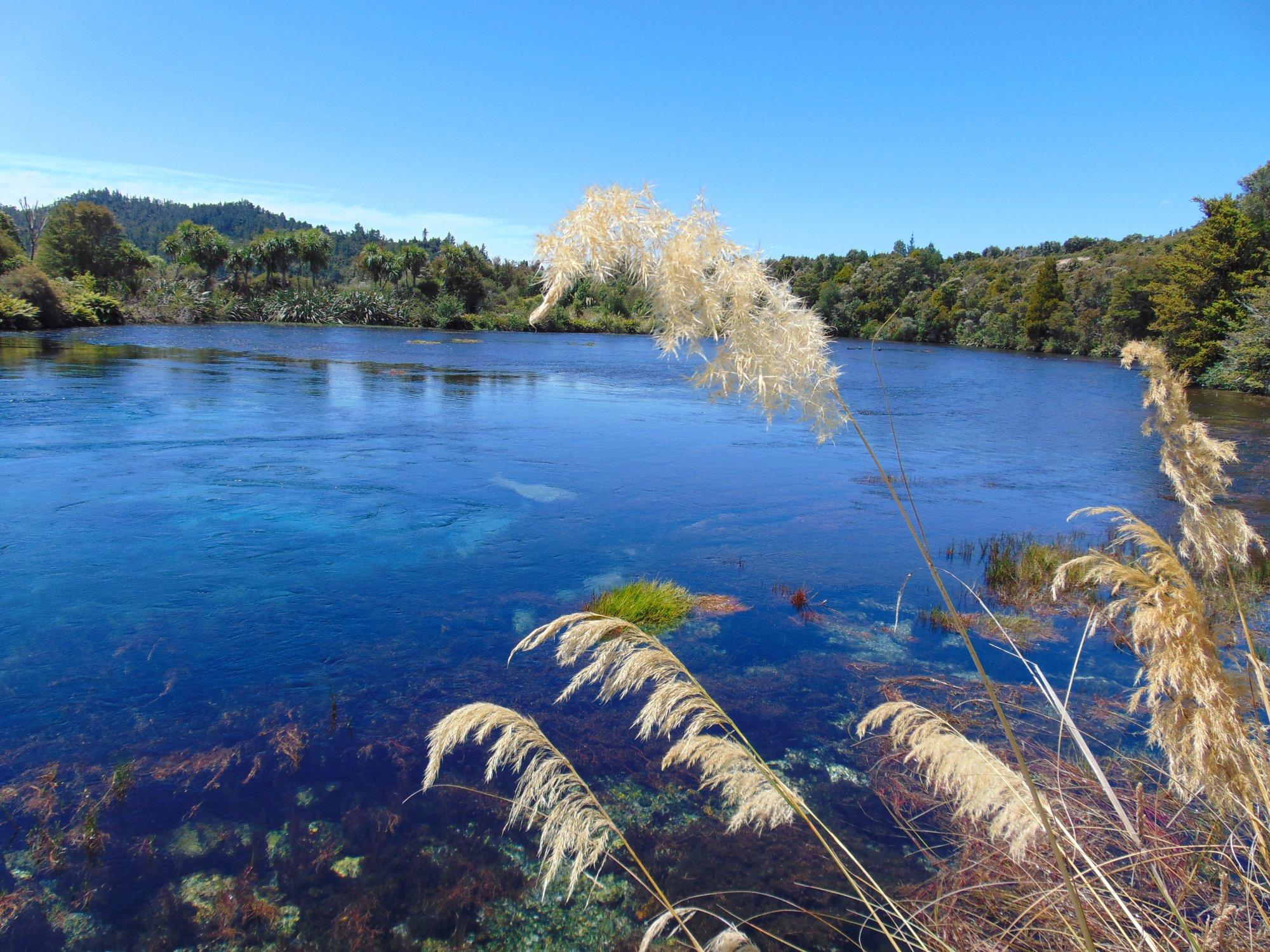 Te Waikoropupu Springs (Pupu Springs)