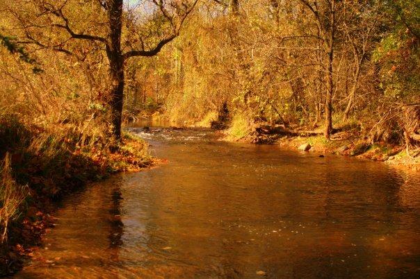 Photo by johntavernier