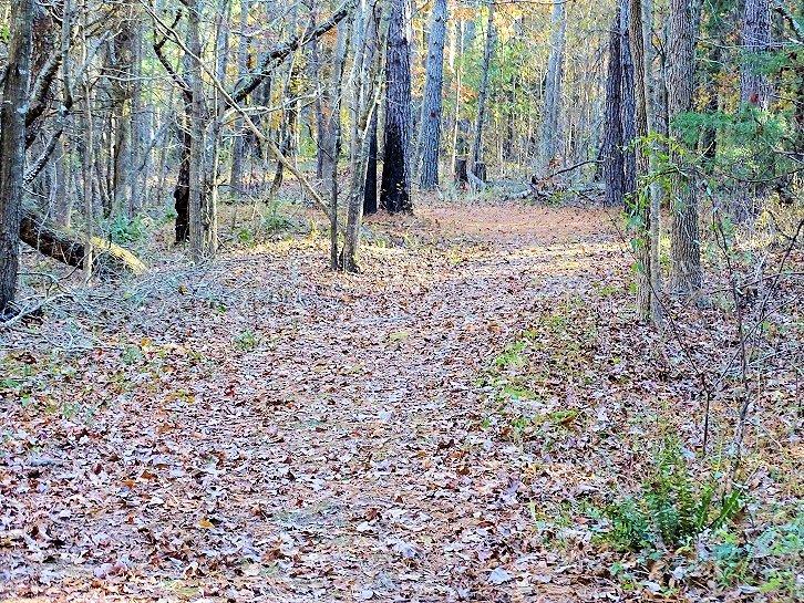 Medoc Mountain State Park