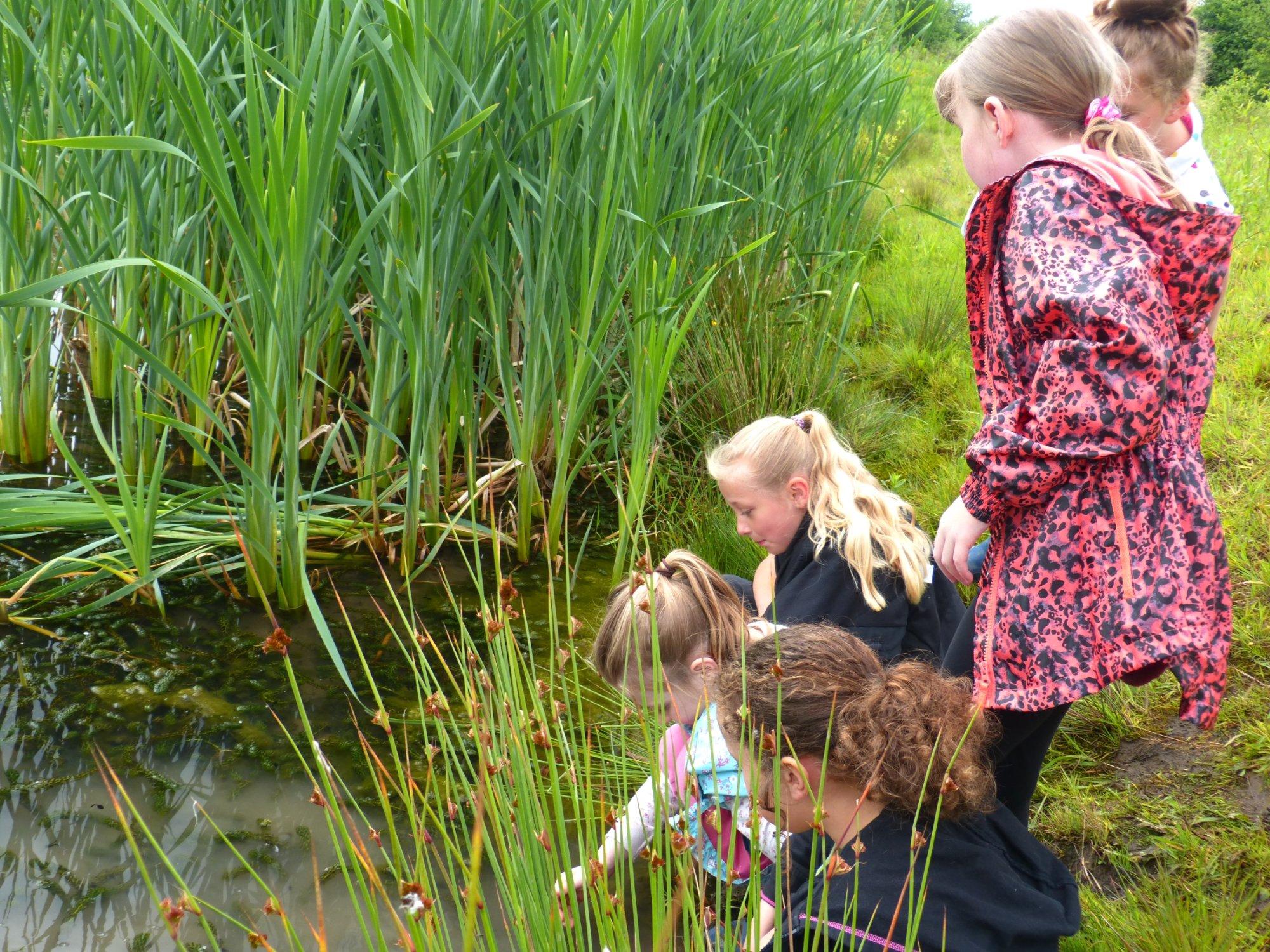 Greenslate Community Farm