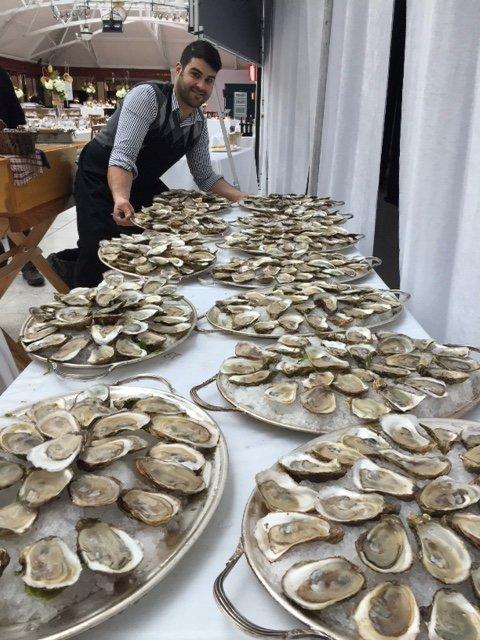 Oysters in Motion - Huitres en Mouvement