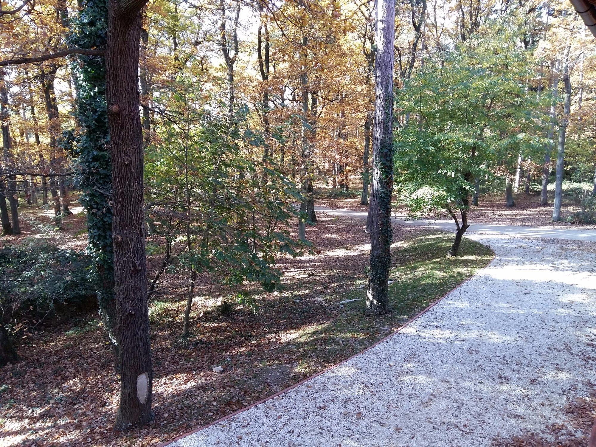 Kőhalmy Hunting Museum
