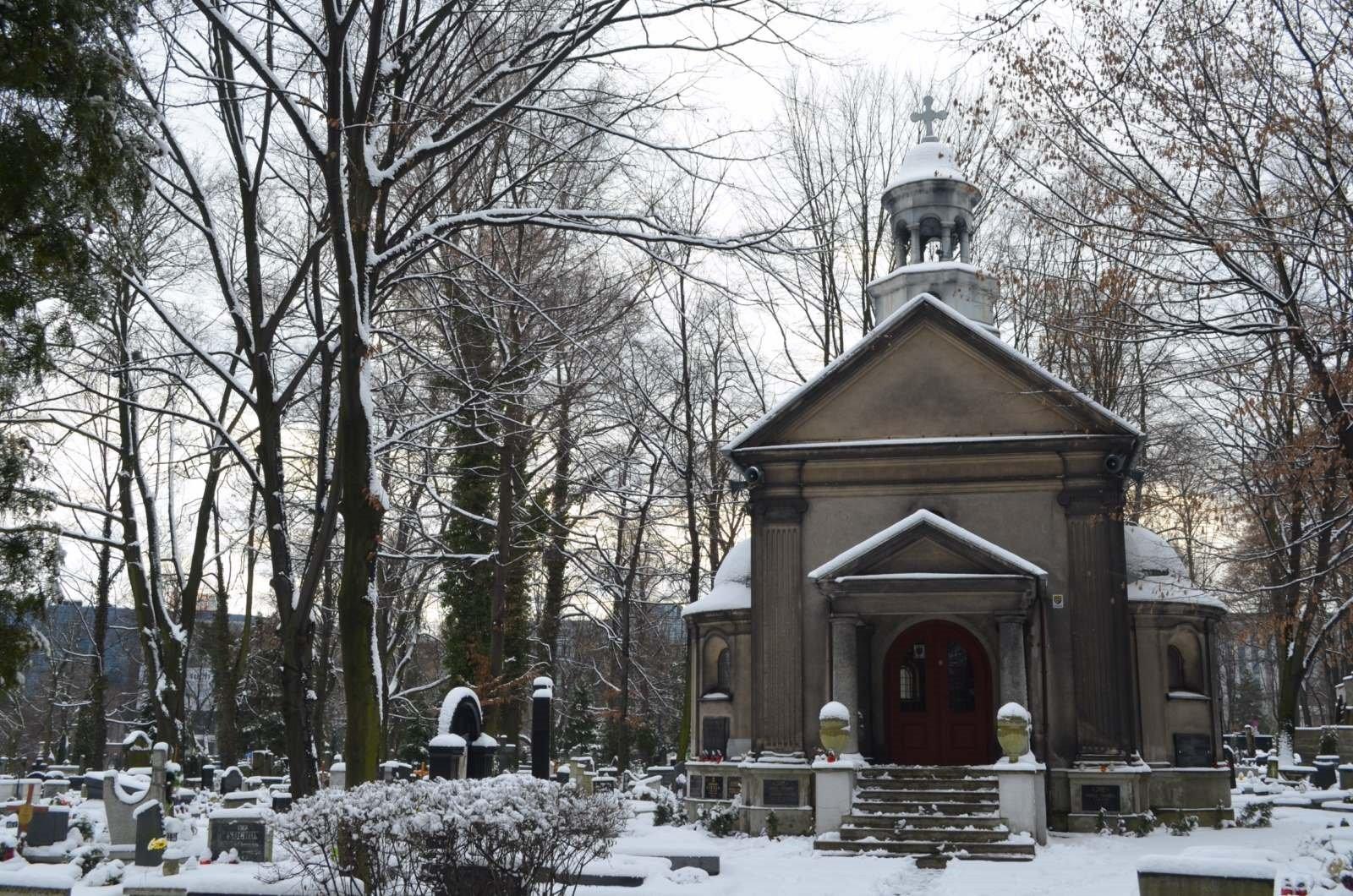 Cemetery at Francuska Street