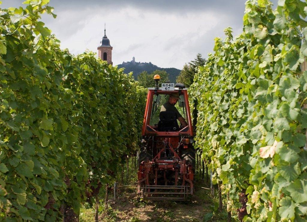 Domaine Claude et Christophe Bléger