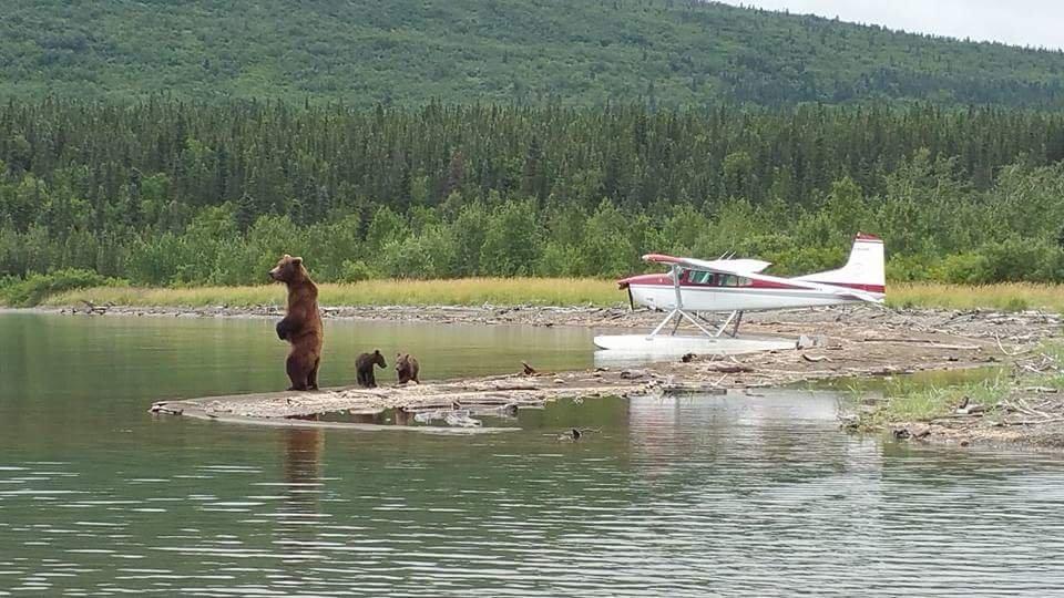 Airventures Alaska