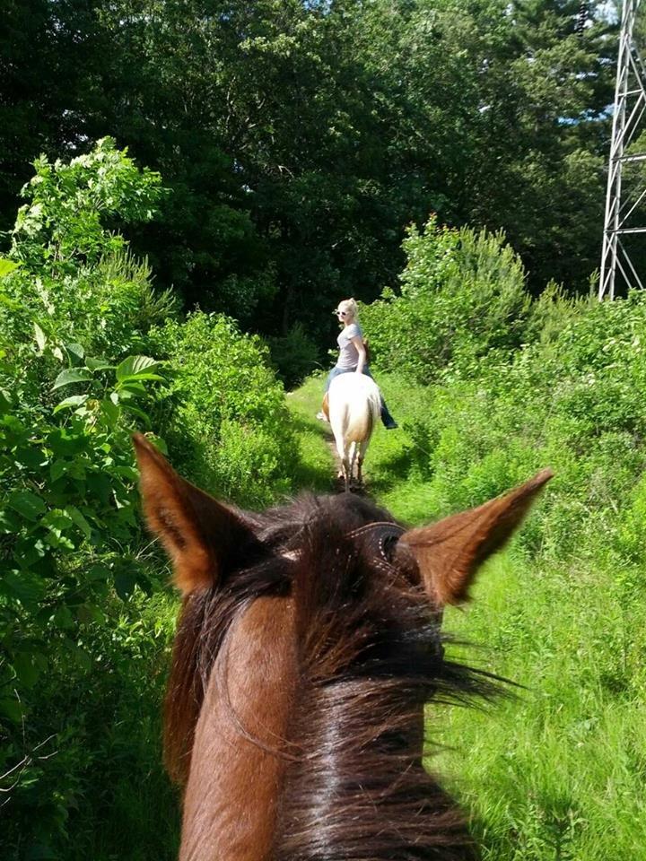 Ridge Valley Stables