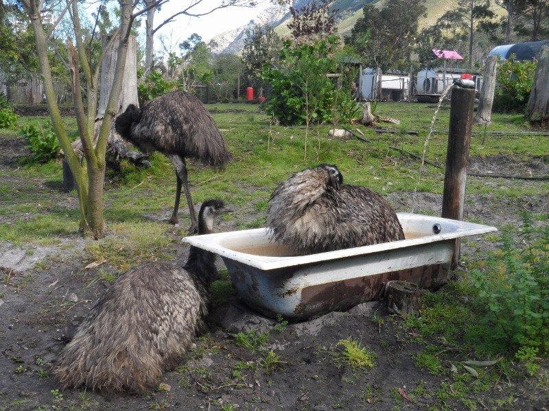 Rocklands Petting Farm