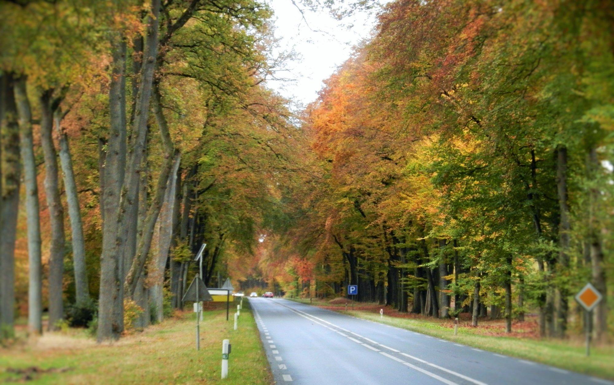 Natuurmonumenten-route Planken Wambuis