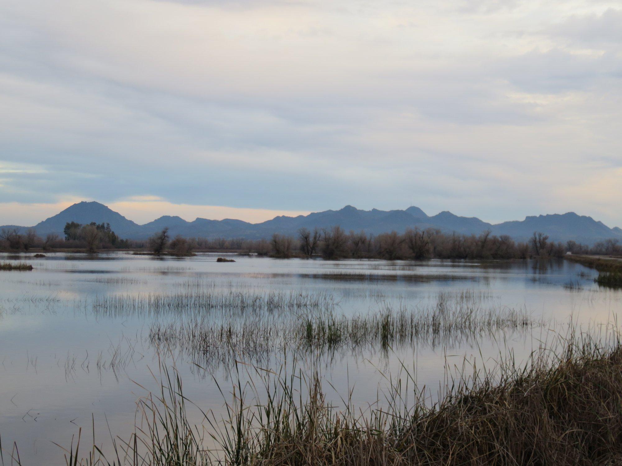 Photo by CTBCalifornia