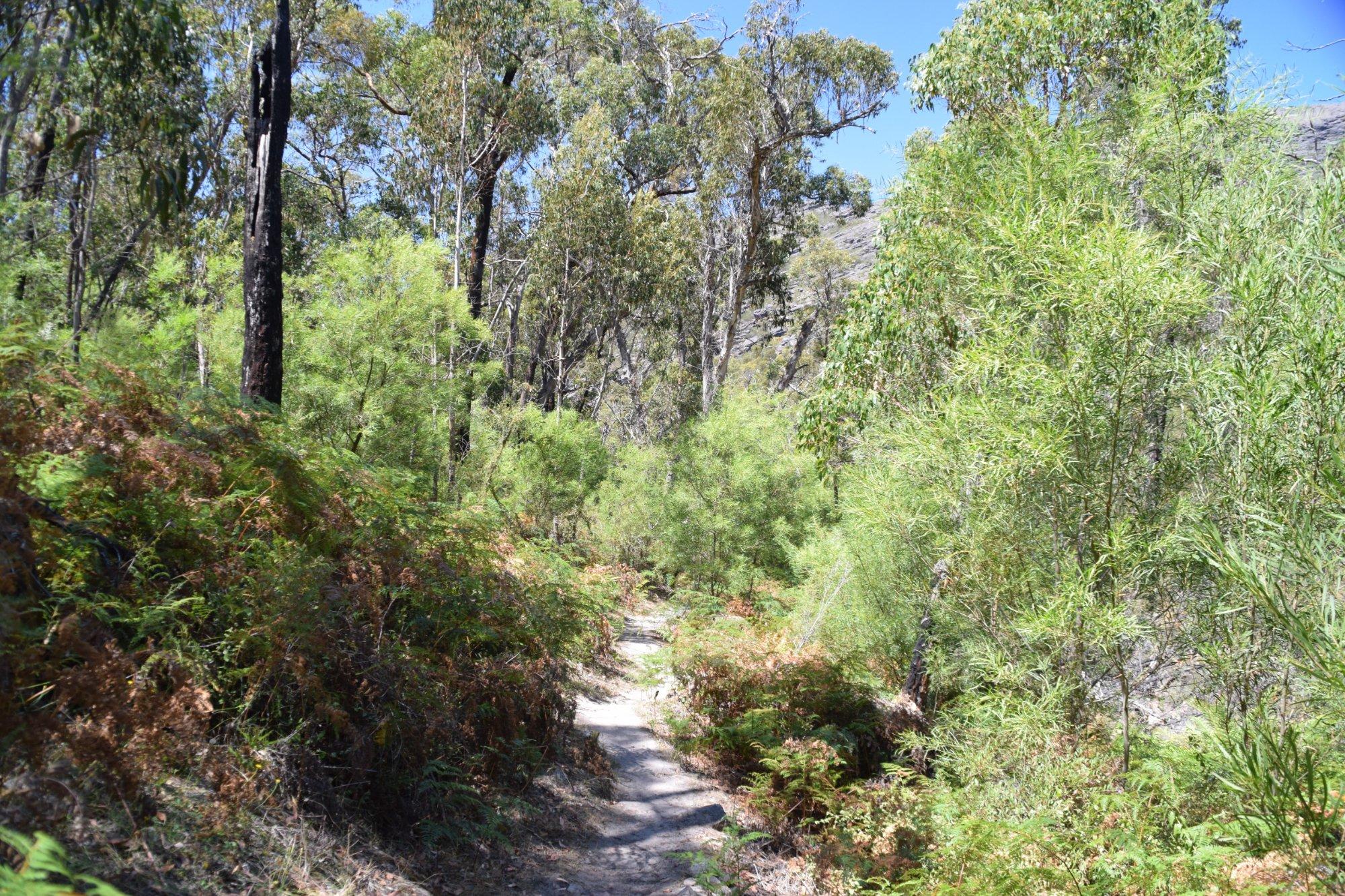 Wonderland Loop Hike