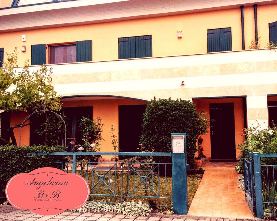 B&B Angelicam