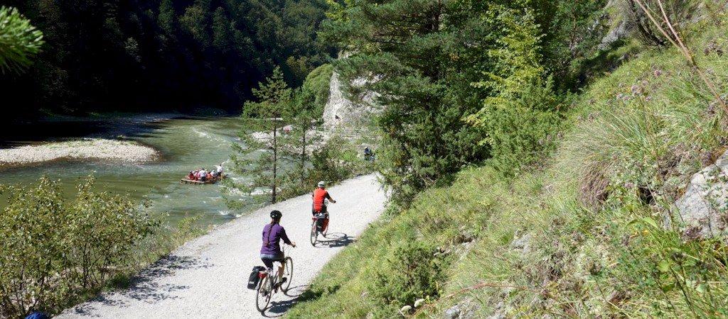 Bird Service - Day Tours