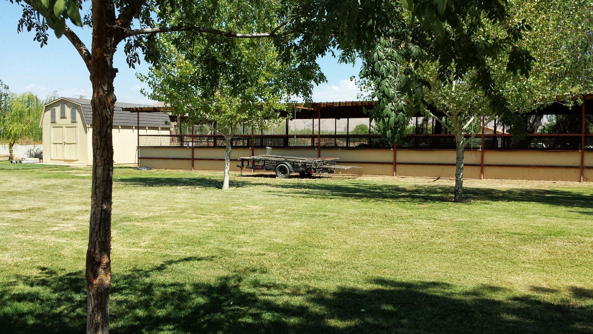 Rancho Los Potrillos