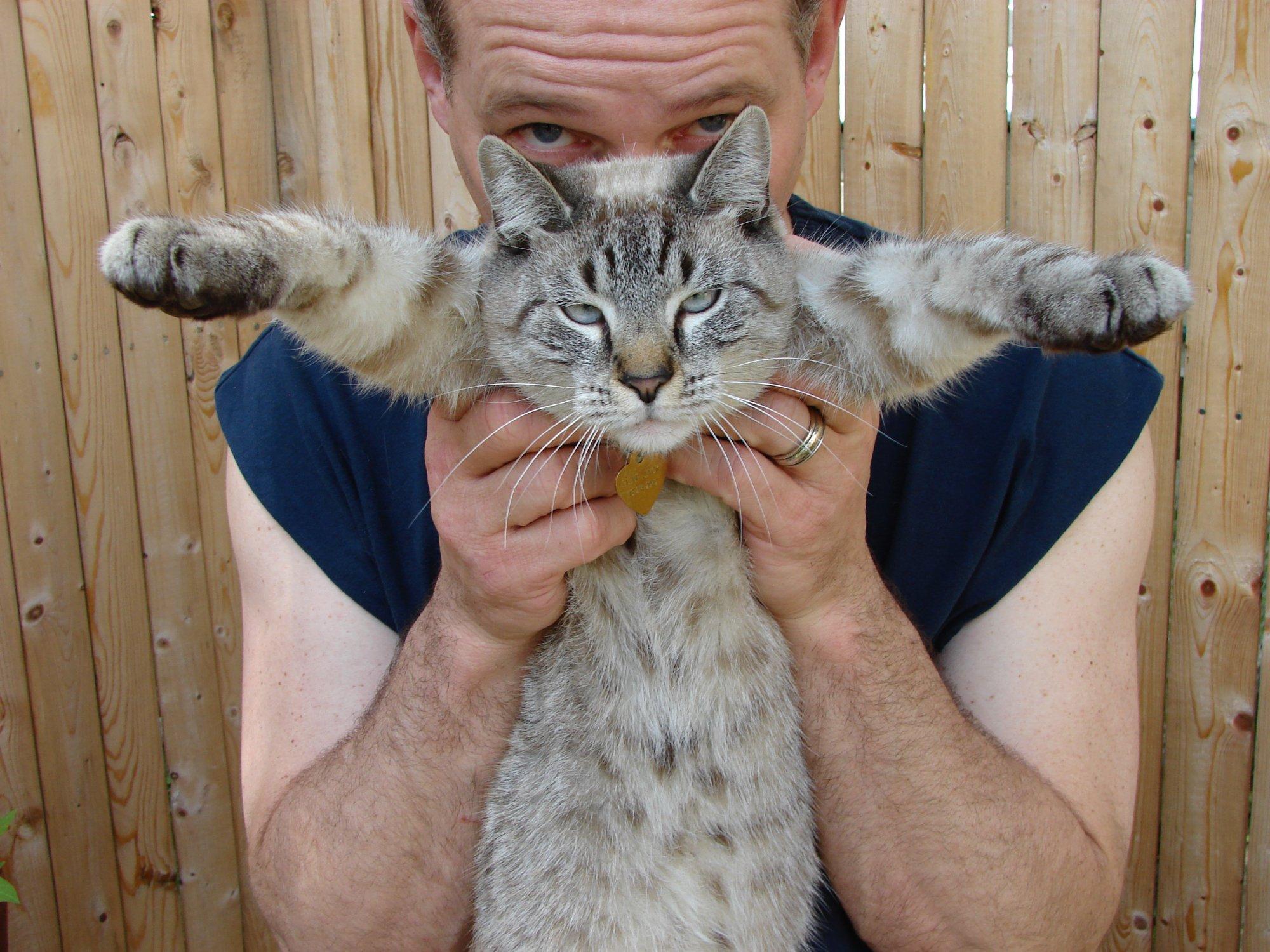 Flapjack Comedy Productions