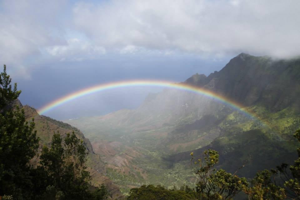 Noah's Ark Kauai Tours