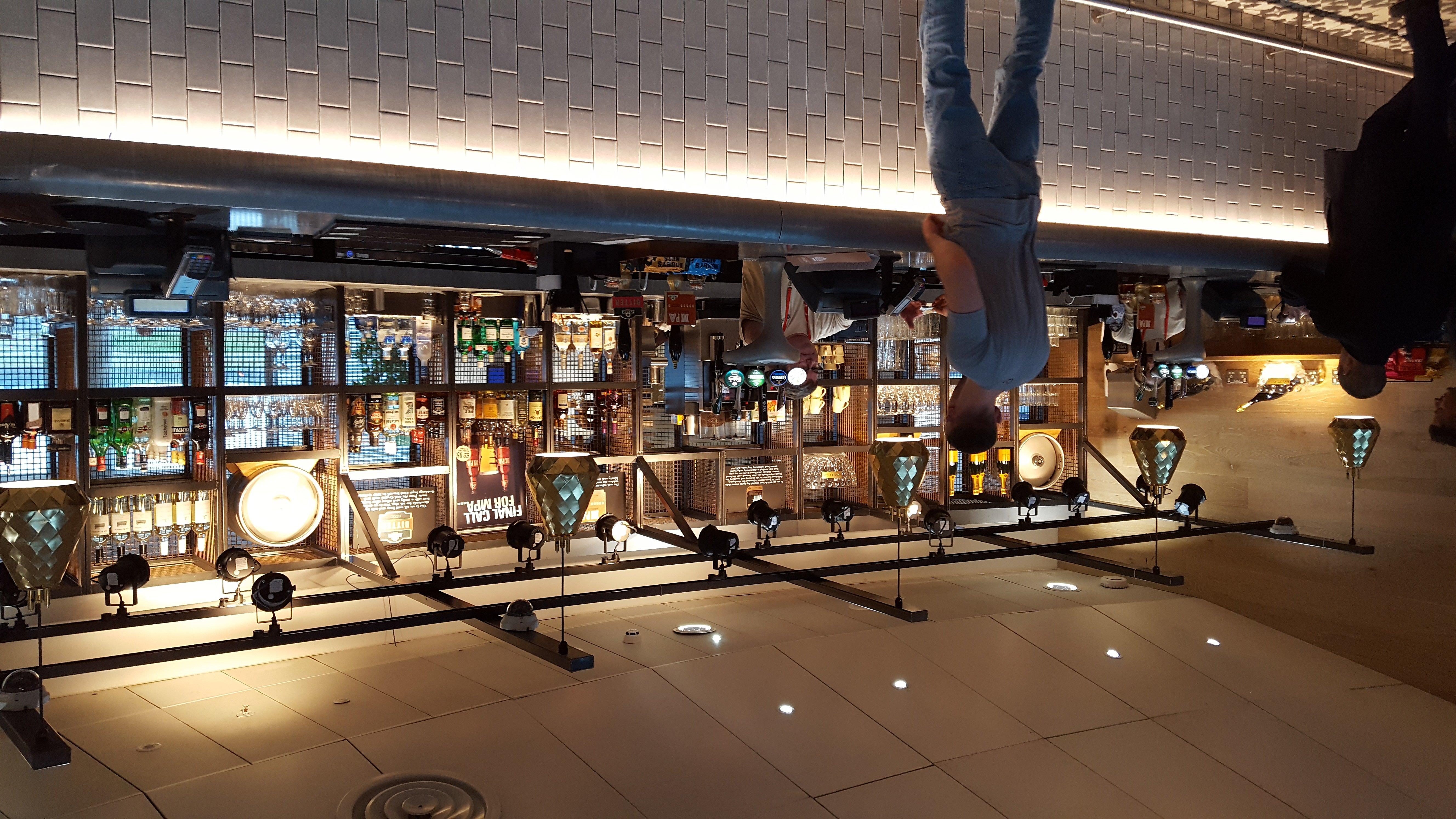 The Lion and Antelope