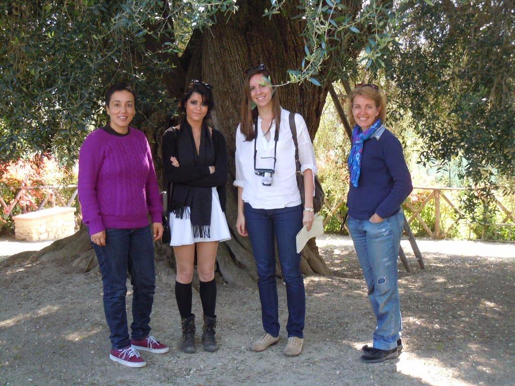 Convivio Rome - Olive Oil Tour