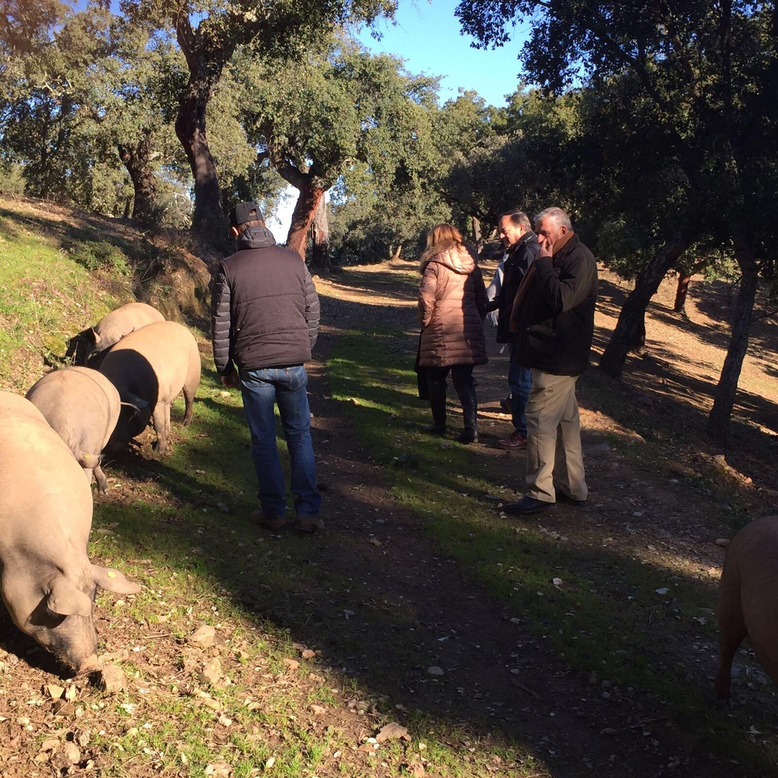 Eiriz Jamones & Embutidos De Bellota